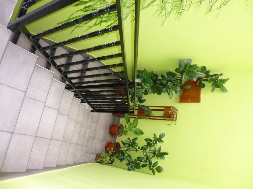 Hostal Ciudad De 나헤라 외부 사진